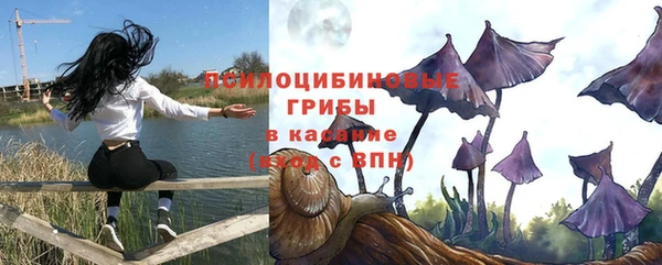 кокс Баксан