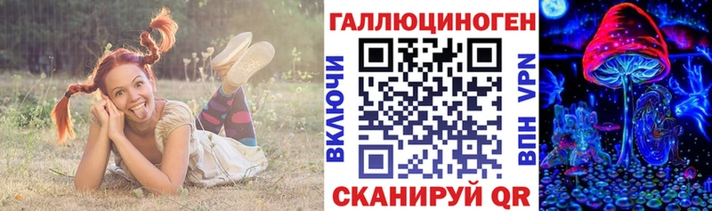 дарк нет формула  Лахденпохья  Псилоцибиновые грибы Psilocybe 